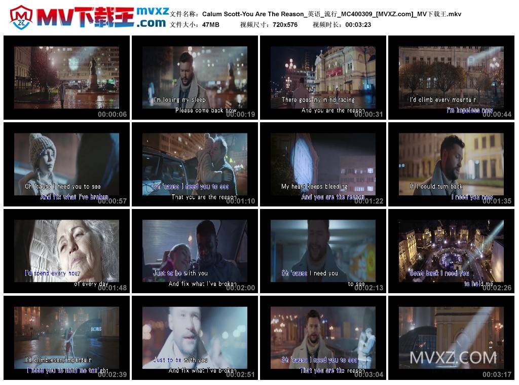 Calum Scott-You Are The Reason_英语_流行_MC400309